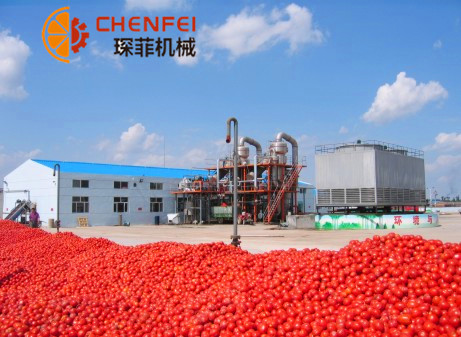 <b>2000噸/天番茄醬生產(chǎn)線(xiàn)  番茄加工設備</b>